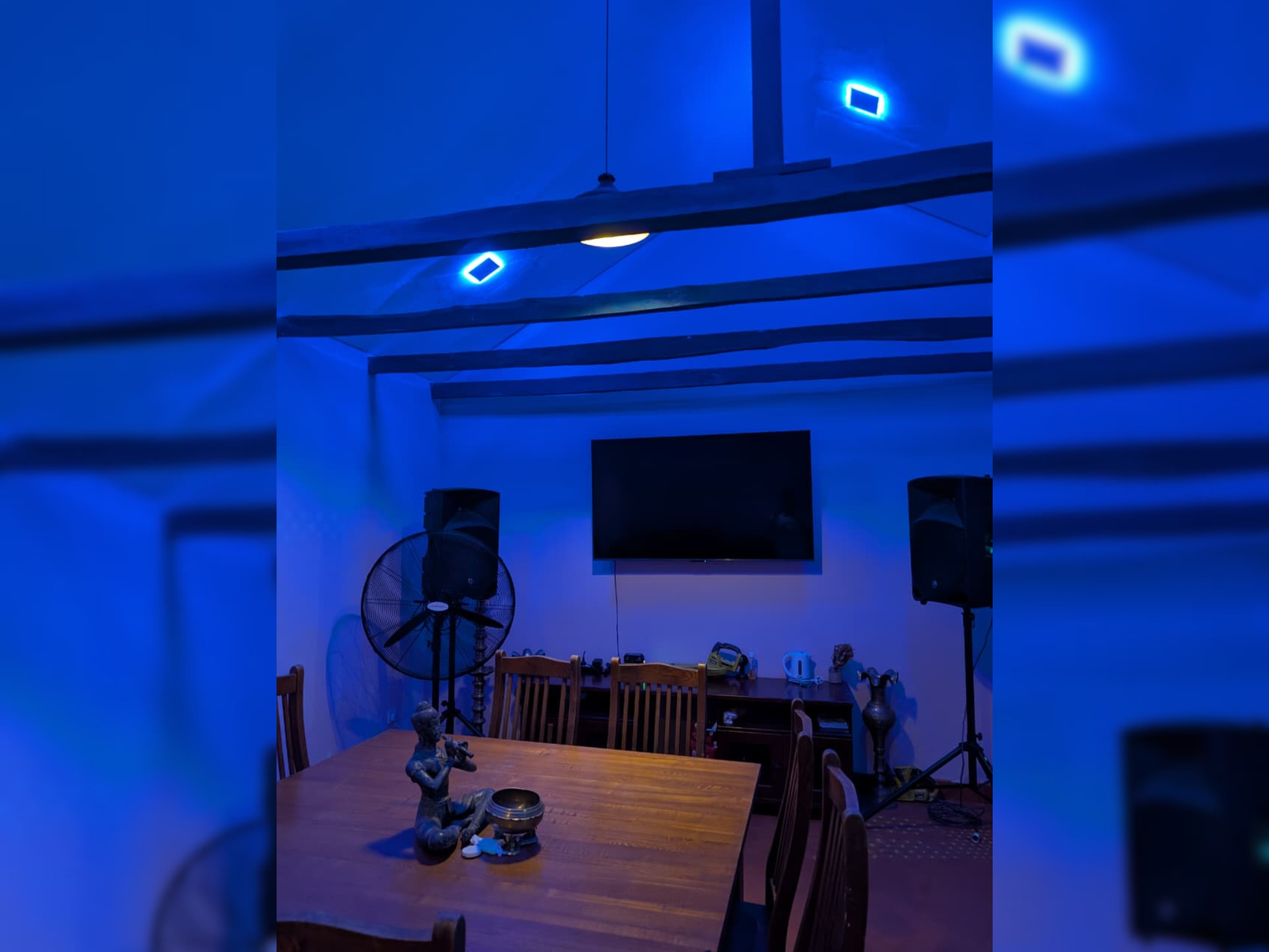 VIP Karaoke Lounge Setup